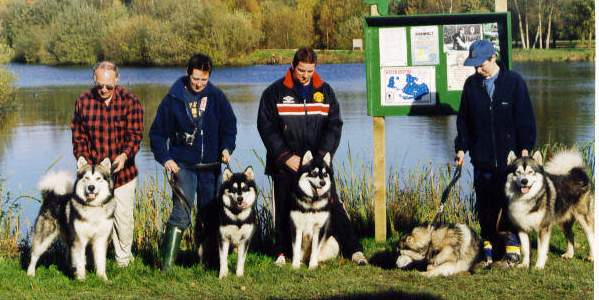 Timber (R) with some kids from  his 1st litter (L-R) Drifter, Inca, Soldier, Diva